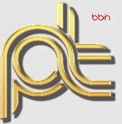 Logo pulitoto